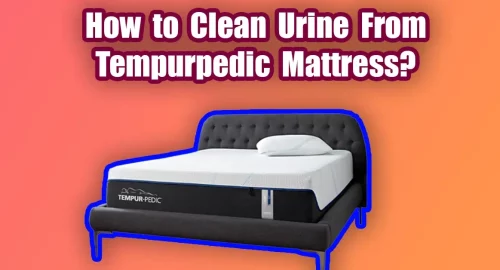 How to Clean Urine From Tempurpedic Mattress