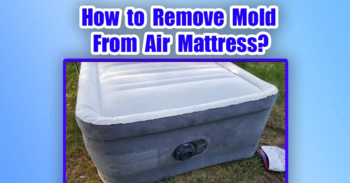 how to remove mold from air mattress