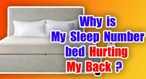 Why is My Sleep Number bed Hurting My Back