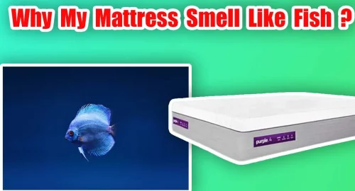 Mattress Smell Like Fish