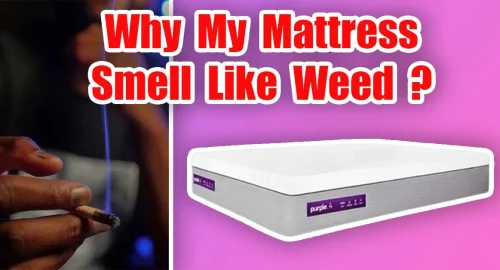 Mattress Smell Like Weed